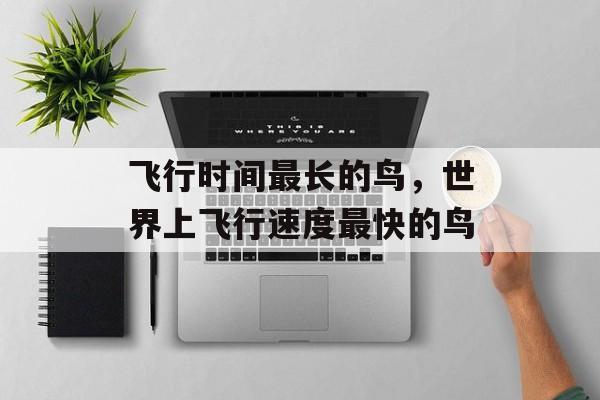 飞行时间最长的鸟，世界上飞行速度最快的鸟-第1张图片-