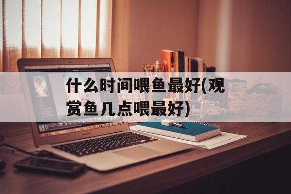 什么时间喂鱼最好(观赏鱼几点喂最好)-第1张图片-