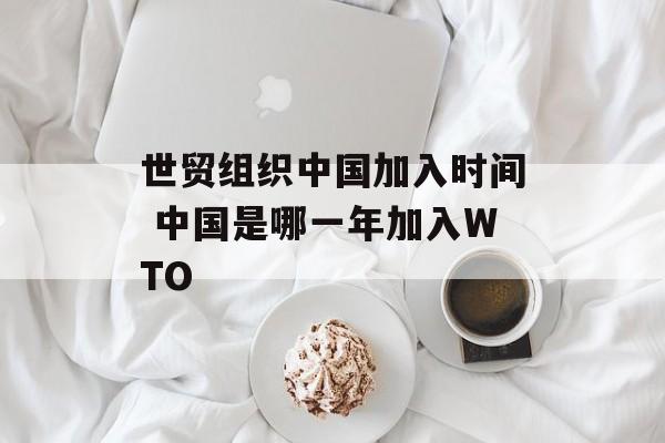 世贸组织中国加入时间 中国是哪一年加入WTO-第1张图片-